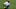 Green Bay Packers Green Bay Packers
