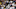 Atlanta Braves first baseman Freddie Freeman Atlanta Braves first baseman Freddie Freeman