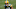 Jace Sternberger, Green Bay Packers Jace Sternberger, Green Bay Packers