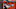Cleveland Browns, Browns, David Njoku Cleveland Browns, Browns, David Njoku