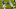 Texas A&M Aggies, LSU Tigers. Mandatory Credit: Thomas Shea-USA TODAY Sports