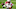 Chicago Bears, J.C. Jackson Chicago Bears, J.C. Jackson
