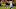 Fantasy Football Fantasy Football
