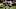 Rashaan Salaam Rashaan Salaam