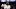 New England Patriots New England Patriots