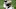 Jameis Winston, New Orleans Saints Jameis Winston, New Orleans Saints
