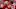 Trey Lance, Jimmy Garoppolo, San Francisco 49ers Trey Lance, Jimmy Garoppolo, San Francisco 49ers