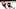 Detroit Red Wings Detroit Red Wings
