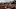 MLB DFS MLB DFS