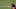 Real Madrid, Karim Benzema Real Madrid, Karim Benzema