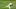 Cleveland Indians Cleveland Indians