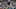 DraftKings DraftKings