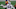 dallas cowboys dallas cowboys