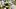 Green Bay Packers