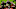 Tampa Bay Buccaneers Tampa Bay Buccaneers