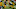 Green Bay Packers Green Bay Packers