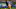 Leicester City