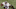 Josh Freeman outplayed Drew Brees on Sunday.