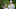 COLOGNE, GERMANY – JUNE 21: Chris Wood of England and caddie ponder during the first round of the BMW International Open at Gut Larchenhof golf club on June 21, 2012 in Cologne, Germany. (Photo by Stuart Franklin/Getty Images) COLOGNE, GERMANY – JUNE 21: Chris Wood of England and caddie ponder during the first round of the BMW International Open at Gut Larchenhof golf club on June 21, 2012 in Cologne, Germany. (Photo by Stuart Franklin/Getty Images)