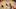 LAS VEGAS, NV – JULY 10: De’Aaron Fox LAS VEGAS, NV – JULY 10: De’Aaron Fox