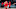 ATLANTA, GA – NOVEMBER 24: Ersan Ilyasova