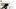Screen Shot 2013-11-06 at 10.58.01 AM Screen Shot 2013-11-06 at 10.58.01 AM