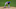 Chicago Cubs, Craig Kimbrel Chicago Cubs, Craig Kimbrel