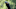 Kevin Kisner FedEx Cup Playoffs Kevin Kisner FedEx Cup Playoffs