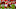KANSAS CITY, MO – SEPTEMBER 25: Center Mitch Morse KANSAS CITY, MO – SEPTEMBER 25: Center Mitch Morse