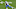 Kerryon Johnson, Detroit Lions (Photo by Norm Hall/Getty Images) Kerryon Johnson, Detroit Lions (Photo by Norm Hall/Getty Images)