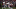 Chicago Bears, Khalil Mack