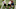 Ryan Nall Chicago Bears Ryan Nall Chicago Bears