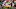 LaMarr Woodley, Michigan Wolverines, Troy Smith, Ohio State Buckeyes LaMarr Woodley, Michigan Wolverines, Troy Smith, Ohio State Buckeyes