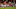 (Photo by Mike Ehrmann/Getty Images) – Los Angeles Chargers (Photo by Mike Ehrmann/Getty Images) – Los Angeles Chargers