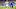 Kentucky football Kentucky football