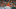 Cionel Pérez of the Houston Astros (Photo by Leslie Plaza Johnson/Icon Sportswire via Getty Images)