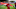 LIVERPOOL, ENGLAND – MAY 13: (THE SUN OUT, THE SUN ON SUNDAY OUT) Mohamed Salah of Liverpool shows his appreciation to the fans at the end of the Premier League match between Liverpool and Brighton and Hove Albion at Anfield on May 13, 2018 in Liverpool, England. (Photo by John Powell/Liverpool FC via Getty Images) LIVERPOOL, ENGLAND – MAY 13: (THE SUN OUT, THE SUN ON SUNDAY OUT) Mohamed Salah of Liverpool shows his appreciation to the fans at the end of the Premier League match between Liverpool and Brighton and Hove Albion at Anfield on May 13, 2018 in Liverpool, England. (Photo by John Powell/Liverpool FC via Getty Images)