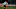 Juventus, Didier Deschamps Juventus, Didier Deschamps