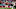 GLENDALE, AZ – DECEMBER 04: Quarterback Carson Palmer, a top DraftKings NFL bargain option against the Lions. GLENDALE, AZ – DECEMBER 04: Quarterback Carson Palmer, a top DraftKings NFL bargain option against the Lions.