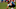 British Open The Open Championship British Open The Open Championship