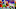 Travis Etienne, Miami Dolphins, 2021 NFL mock draft Travis Etienne, Miami Dolphins, 2021 NFL mock draft