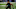Chicago Bears, Nephi Sewell Chicago Bears, Nephi Sewell