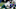 Brandon Graham, Philadelphia Eagles Brandon Graham, Philadelphia Eagles