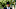 ASCOT, ENGLAND – JUNE 21: Russell Wilson attends day 3 of Royal Ascot at Ascot Racecourse on June 21, 2018 in Ascot, England. (Photo by Kirstin Sinclair/Getty Images for Ascot Racecourse) ASCOT, ENGLAND – JUNE 21: Russell Wilson attends day 3 of Royal Ascot at Ascot Racecourse on June 21, 2018 in Ascot, England. (Photo by Kirstin Sinclair/Getty Images for Ascot Racecourse)