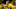 Erling Haaland scored his seventh goal of the season (Photo by INA FASSBENDER/AFP via Getty Images) Erling Haaland scored his seventh goal of the season (Photo by INA FASSBENDER/AFP via Getty Images)