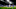 Leicester City