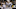 Tom Brady, New England Patriots, Super Bowl Tom Brady, New England Patriots, Super Bowl