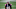 Chicago Bears, Sony Michel Chicago Bears, Sony Michel
