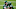 INGLEWOOD, CALIFORNIA – DECEMBER 20: New York Jets RB Frank Gore (Photo by Harry How/Getty Images) INGLEWOOD, CALIFORNIA – DECEMBER 20: New York Jets RB Frank Gore (Photo by Harry How/Getty Images)