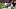 Seattle Seahawks Seattle Seahawks
